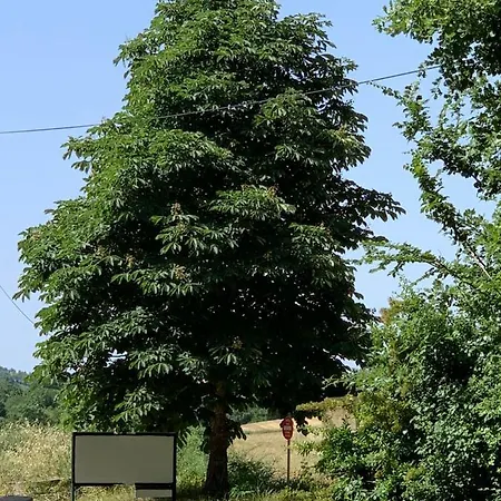 Domaine Le Commandaire Roumoules