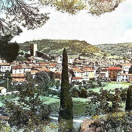 Domaine Le Commandaire *