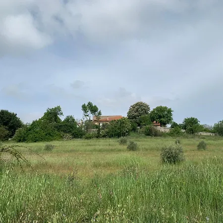 Domaine Le Commandaire *