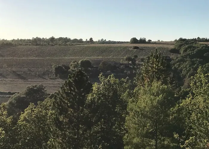 Domaine Le Commandaire *