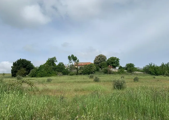 Domaine Le Commandaire *